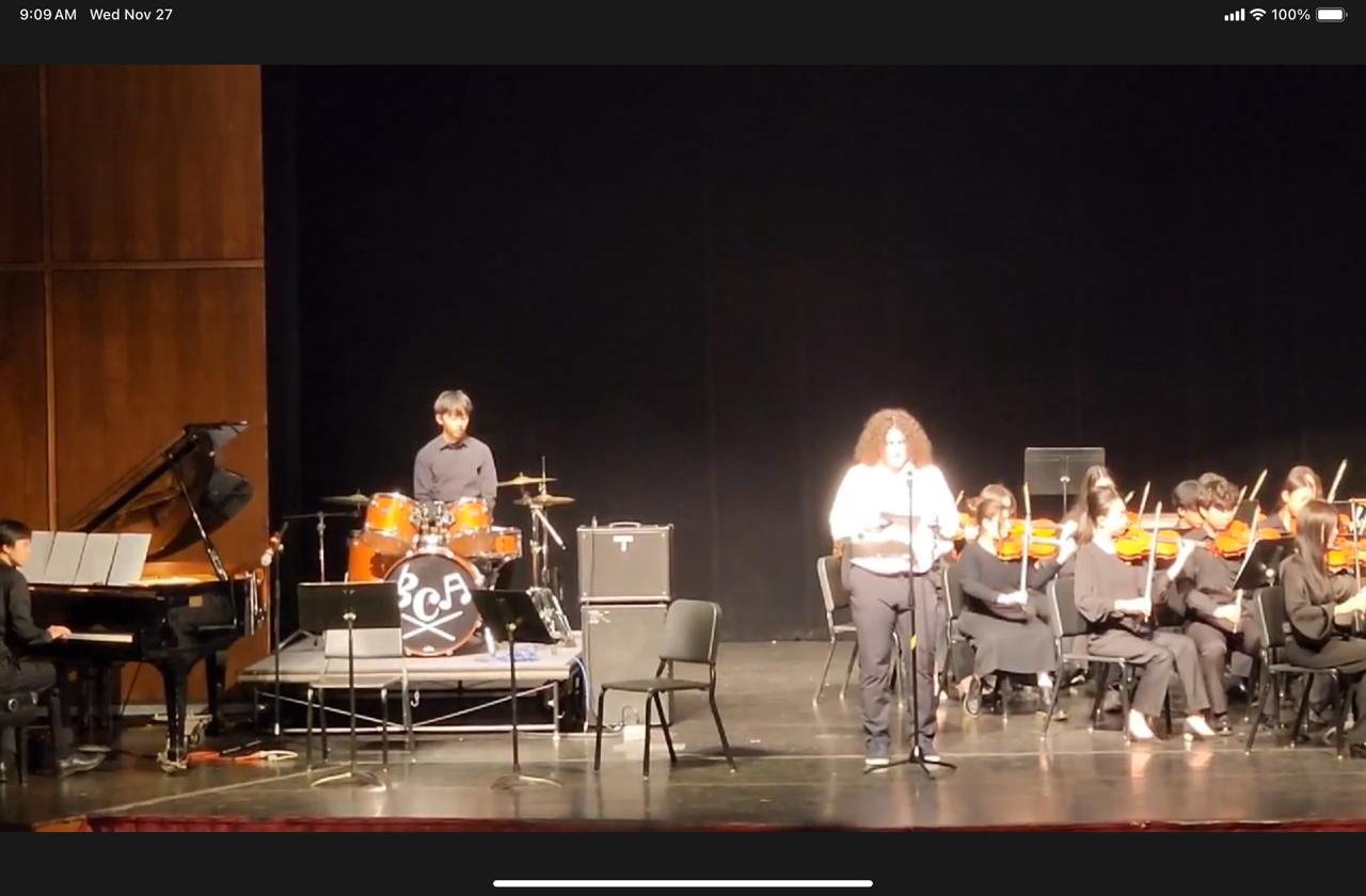 Chamber Orchestra Performance